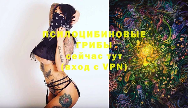 мет Баксан