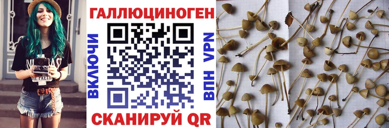 Купить  Новая Ляля  Псилоцибиновые грибы Magic Shrooms 